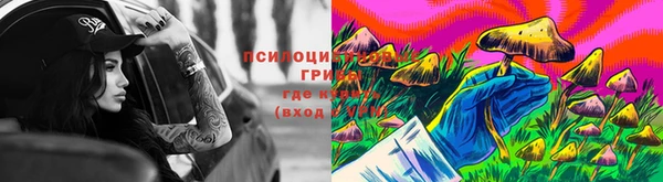 Альфа ПВП Богородицк